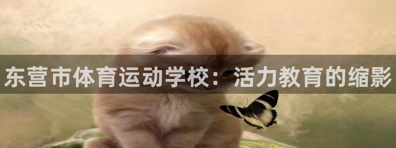 凯发官方正版app集团logo：东营市体育运动学校：