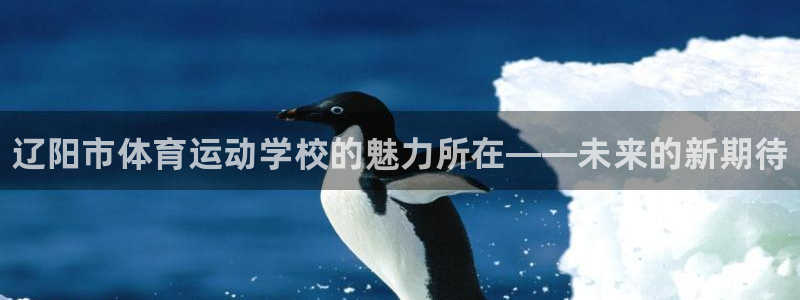 凯发官网下载平台APP：辽阳市体育运动学校的魅力所在