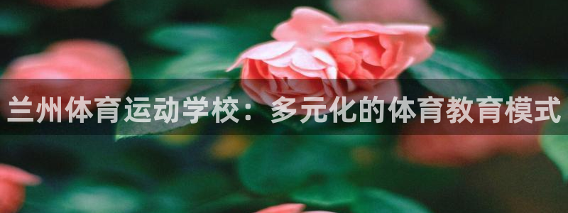 凯发官方正版app集团官网首页网址：兰州体育运动学校