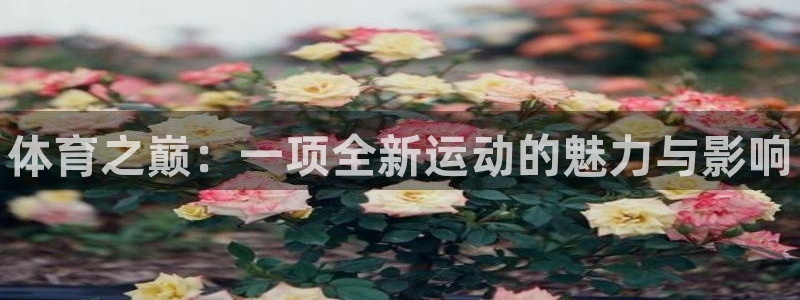 注册凯发官方正版app：体育之巅：一项全新运动的魅力