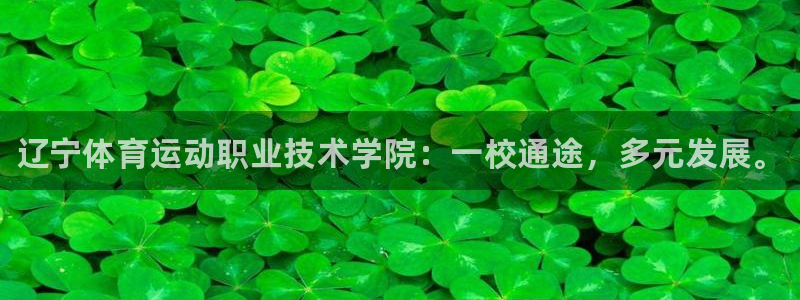 凯发官网下载招商电话地址：辽宁体育运动职业技术学院：