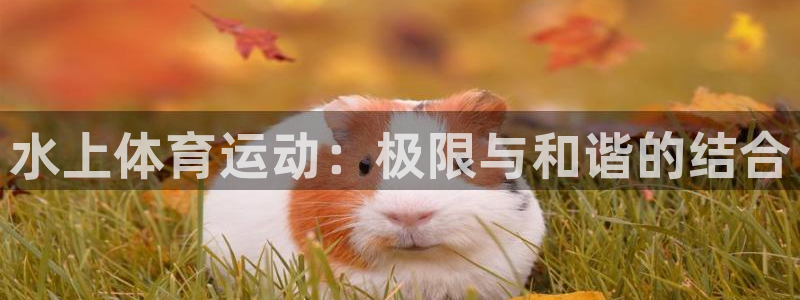 凯发官网下载是干嘛的公司：水上体育运动：极限与和谐的
