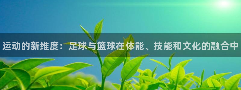 凯发官网下载招商：运动的新维度：足球与篮球在体能、技