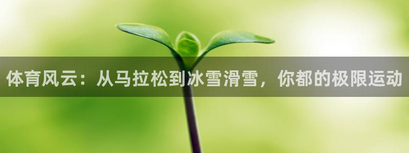 凯发官网下载招商电话地址查询：体育风云：从马拉松到冰