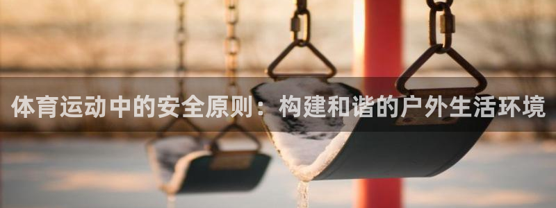 注册凯发官方正版app：体育运动中的安全原则：构建和