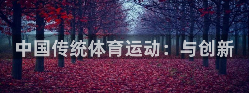 凯发官网下载招商电话号码查询是多少：中国传统体育运动