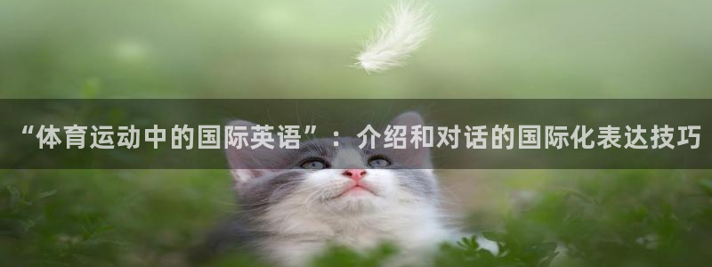 凯发官方正版app代理：“体育运动中的国际英语”：介