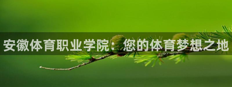 凯发官网下载平台注册要钱吗安全吗：安徽体育职业学院：