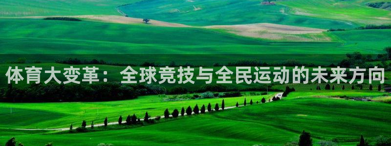 凯发官方正版app娱乐代理怎么样：体育大变革：全球竞