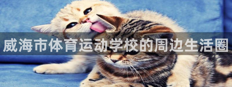 凯发官方正版app集团官网首页网址：威海市体育运动学