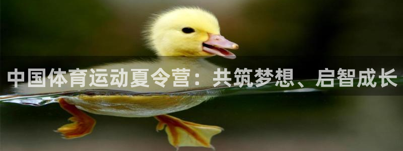 凯发官网下载招商电话号码查询是多少