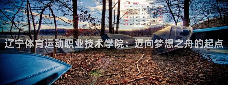 凯发官方正版app开户：辽宁体育运动职业技术学院：迈向梦想之