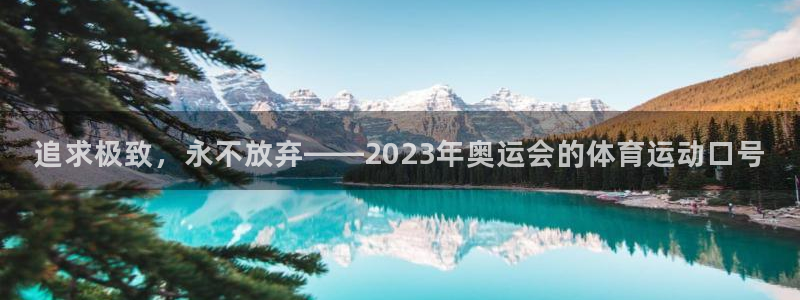 德国凯发官方正版app集团：追求极致，永不放弃——2023年
