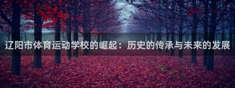 凯发官网下载招商电话地址是多少：辽阳市体育运动学校的崛起：历