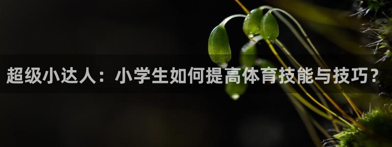 凯发k8网址/直接打开agbaofu.wang