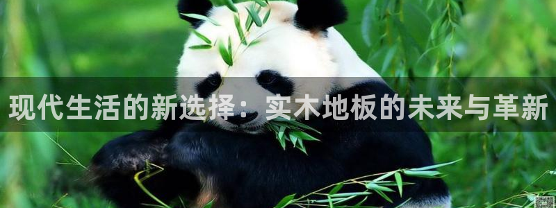 凯发k8国际真人版电话