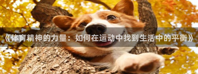 凯发官网下载招商