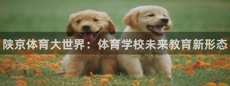凯发官网下载招商电话是多少号码：陕京体育大世界：体育学校未来