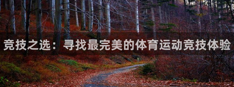 凯发官网下载是干嘛的公司：竞技之选：寻找最完美的体育运动竞技