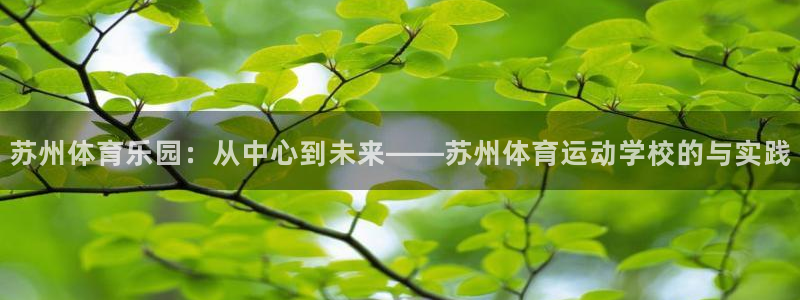凯发官方正版app娱乐代理怎么样：苏州体育乐园：从中心到未来