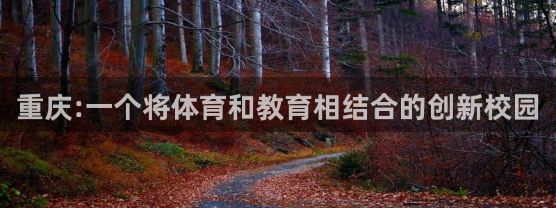 凯发官方正版app集团官网网址：重庆:一个将体育和教育相结合