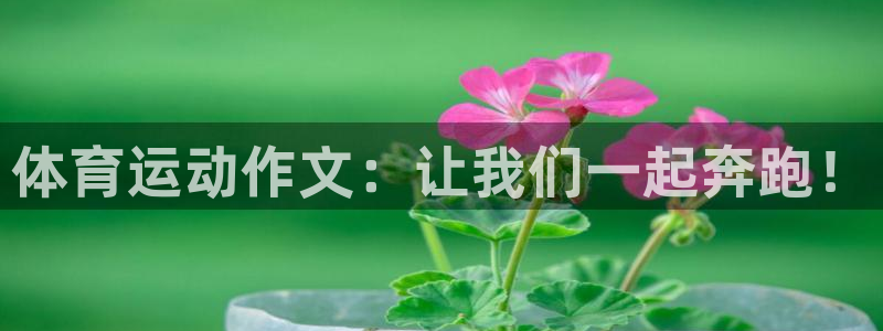 凯发官方平台体育：体育运动作文：让我们一起奔跑！