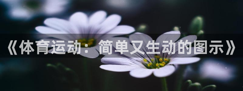 凯发官方正版app娱乐网站：《体育运动：简单又生动的图示》
