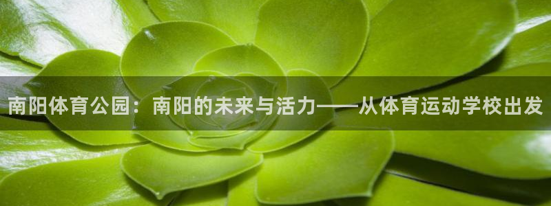 凯发官方正版app娱乐是那个系列的台子：南阳体育公园：南阳的