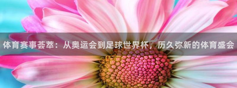 凯发官网下载招商电话号码是多少号：体育赛事荟萃：从奥运会到足