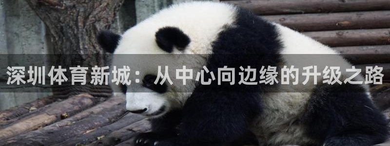 凯发官方正版app科技：深圳体育新城：从中心向边缘的升级之路