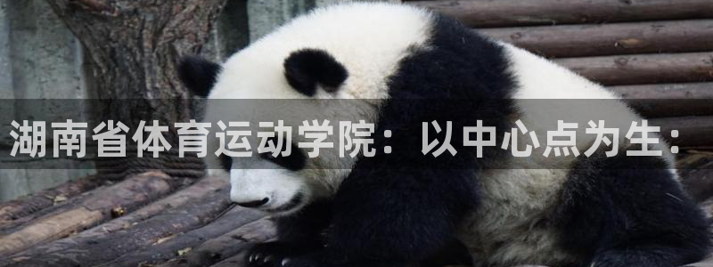 凯发官网下载招商电话是多少号码：湖南省体育运动学院：以中心点