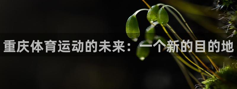 凯发官方正版app娱乐是那个系列的台子：重庆体育运动的未来：