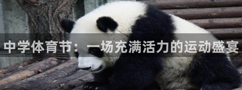 凯发官方正版app新能源