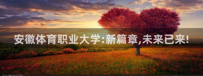 海南凯发官网下载：安徽体育职业大学:新篇章,未来已来!