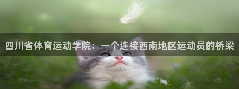 凯发官网下载招商电话号码是多少啊：四川省体育运动学院：一个连