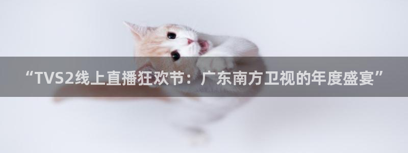 搜球吧在线直播免费观看
