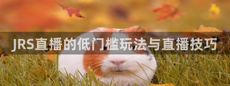 搜球8直播nba直播：JRS直播的低门槛玩法与直播技巧