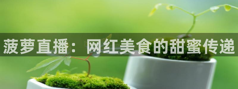 搜球吧8直播免费观看：菠萝直播：网红美食的甜蜜传递
