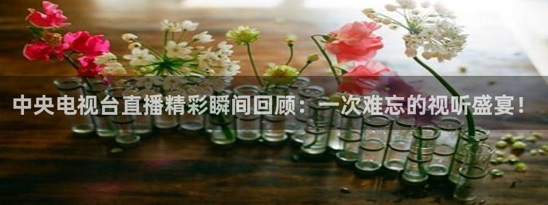 搜球吧零点吧nba直播：中央电视台直播精彩瞬间回顾：一次难忘的视听盛宴！